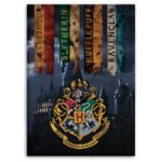 Manta Polar Harry Potter Hogwarts